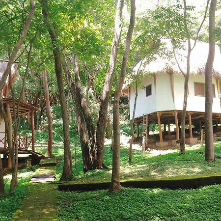 Tuani Ecolodge トラ エクステリア 写真