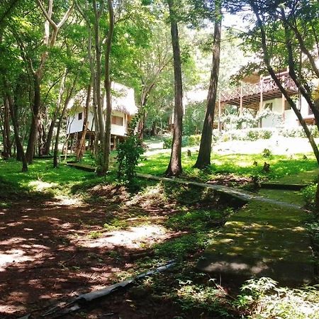 Tuani Ecolodge トラ エクステリア 写真